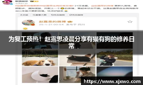 为复工预热！赵露思凌晨分享有猫有狗的修养日常